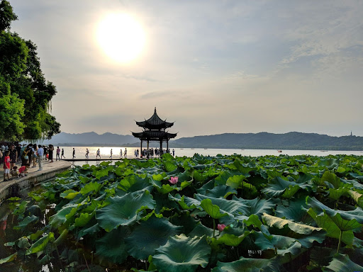 Exploring Beyond Shanghai: Our Favorite Places to Visit Around This Chinese Metropolis