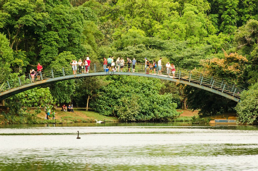 sao-paulo-bridge